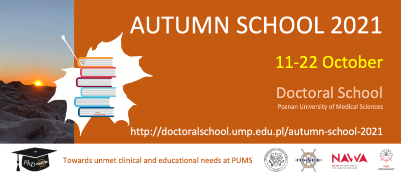 Autumn school banner